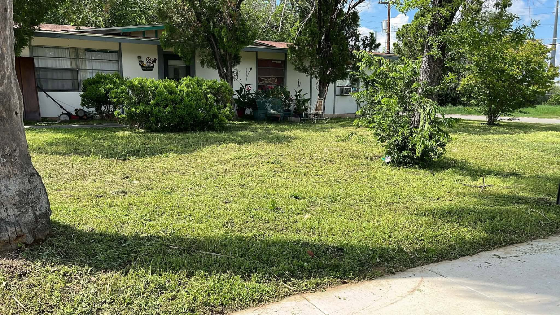After: Overgrown front yard mowed and cleaned up